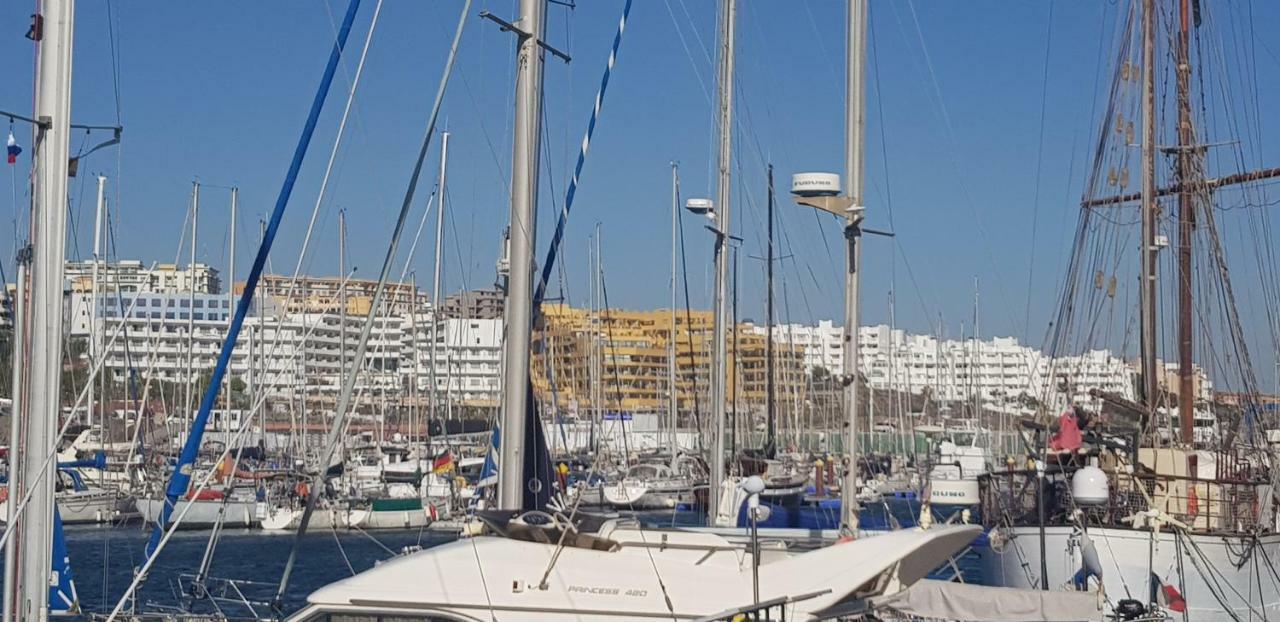 Aguamarina 430 Διαμέρισμα Σαν Μιγκέλ ντε Αμπόνα Εξωτερικό φωτογραφία